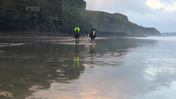 Gente montando caballos a galope en la playa, fpv cámara lenta — Vídeos de Stock