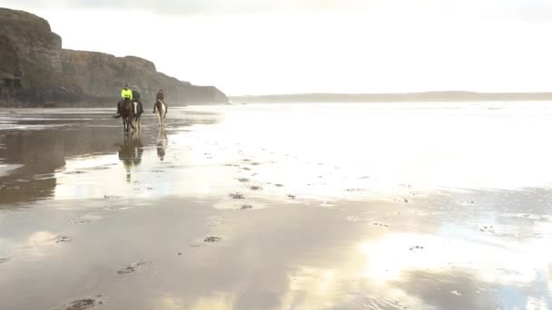 Gente montando caballos en la playa — Vídeos de Stock