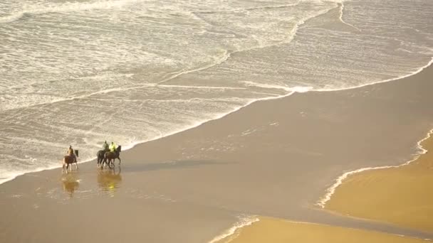 Aerial view of people riding horses on the beach — Stock Video