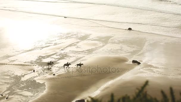 Вид с воздуха на людей верхом на лошадях на галопе на пляже — стоковое видео