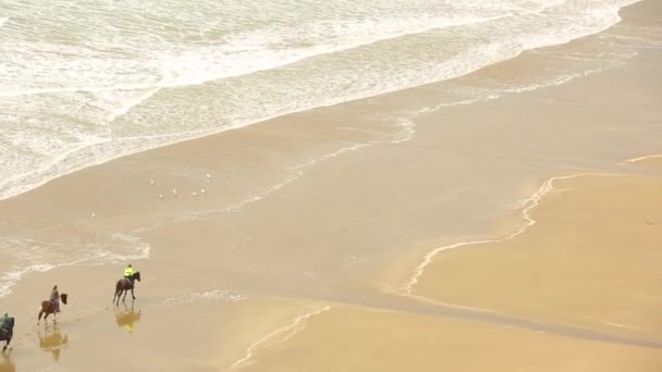 Aerial view of people riding horses at gallop on the beach — Stock Video