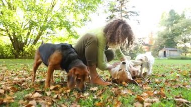 Köpeklerle parkta, yavaş oynayan kadın