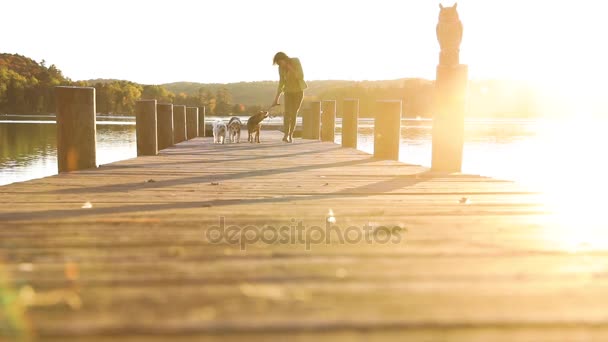 Köpekler iskelede günbatımında yürüyen kadın — Stok video