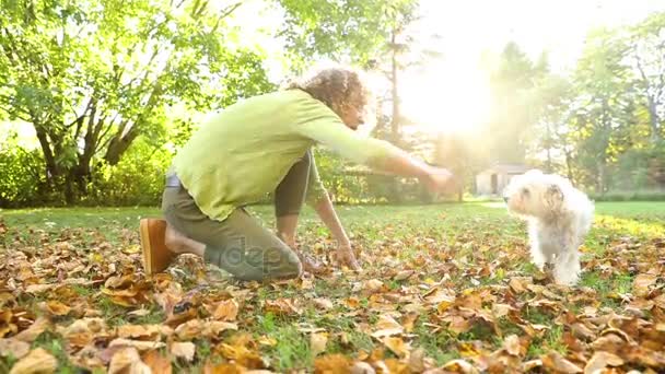 Frau spielt mit Hunden im Park, Zeitlupe — Stockvideo