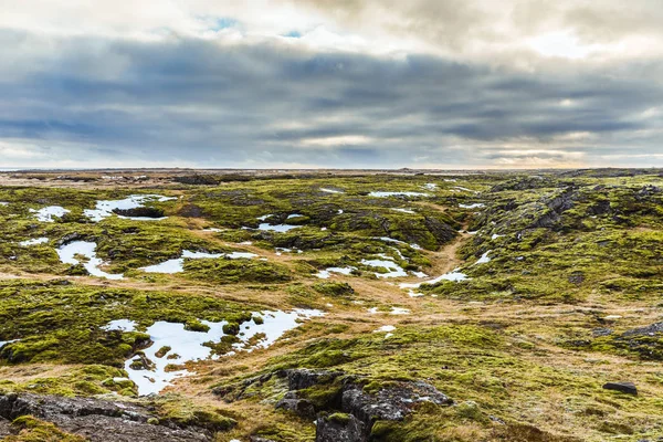 Landschap van IJsland: rotsen, mos en sneeuw — Stockfoto