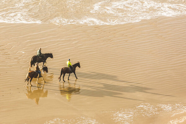 People horse riding on the beach, aerial view
