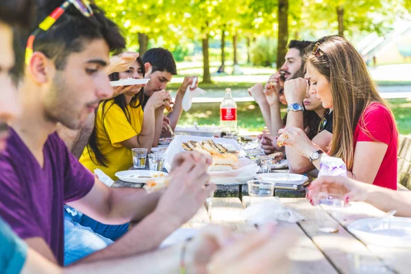 Grupp av vänner att ha picknick på park — Stockfoto