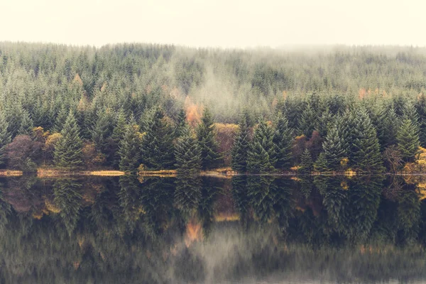 Herbstszene, Nebel über den Bäumen am See — Stockfoto