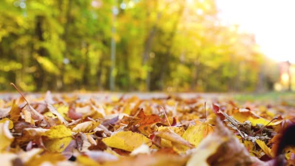 Auto fährt vorbei und lässt Herbstblätter fliegen, Zeitlupe — Stockvideo