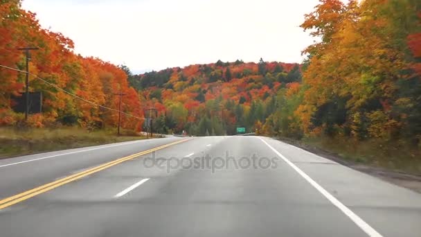 Rijden op Amerikaanse snelweg met bomen rond in de herfst — Stockvideo