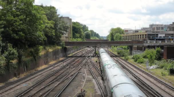 Spoorweg en treinen passeren, luchtfoto, snelle beweging — Stockvideo