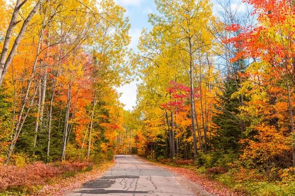 Straße durch den Wald mit herbstlich buntem Laub in Kanada — Stockfoto