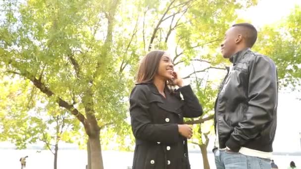Feliz pareja negra riendo en el parque — Vídeo de stock