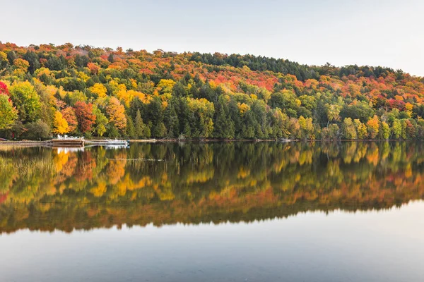 Осенняя сцена, деревья с отражениями на озере — стоковое фото