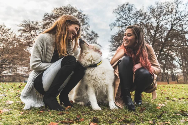 Девушки играют с собакой в парке — стоковое фото
