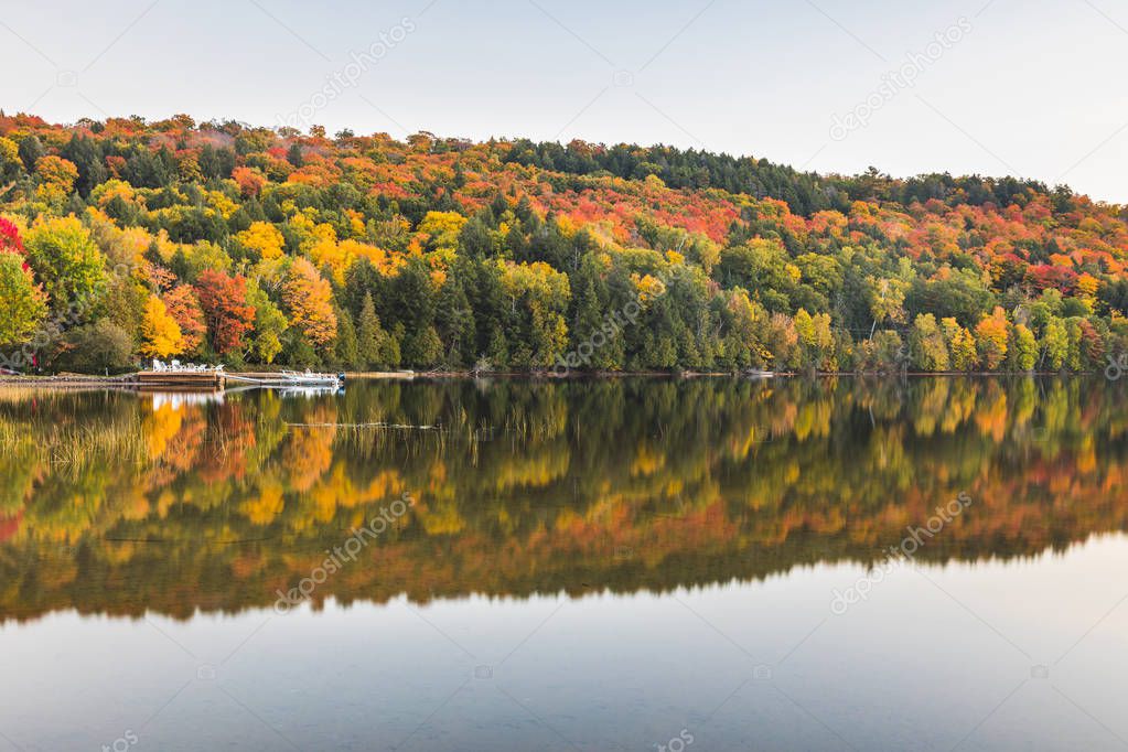 Autumn scene, trees with reflections on lake 