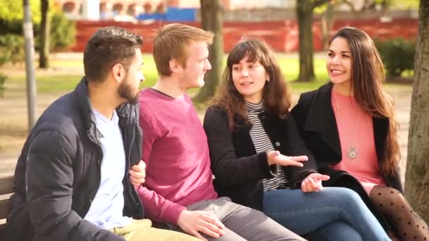 Grupo de amigos hablando en el parque — Vídeos de Stock