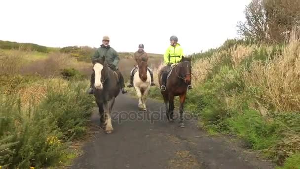 People riding horses in the countryside — Stock Video