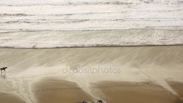 Vue aérienne de personnes montant des chevaux au galop sur la plage — Video