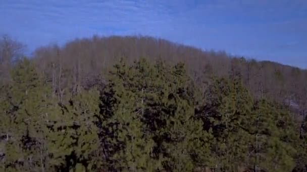 Vista aérea del campo de invierno con nieve — Vídeo de stock