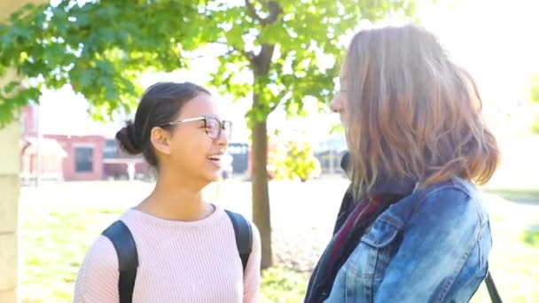 Beste Freundinnen lachen gemeinsam im Park — Stockvideo