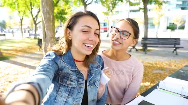 Dívky studují a užívání funny selfie v parku — Stock video