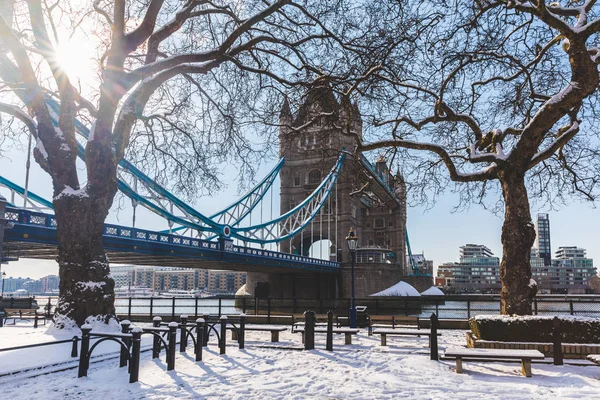Torre de ponte e árvores em Londres com neve — Fotografia de Stock