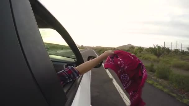 Belle femme par la fenêtre de la voiture profitant du voyage — Video