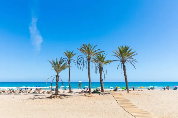 Alicante'daki sahilde palmiye ağaçları ile Sahil — Stok fotoğraf