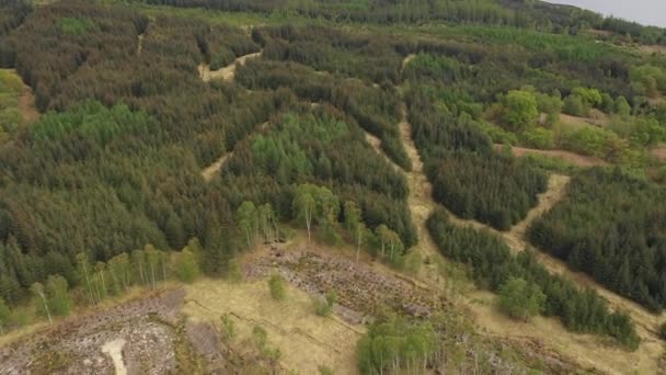 Vue aérienne des bois et des collines en Écosse — Video