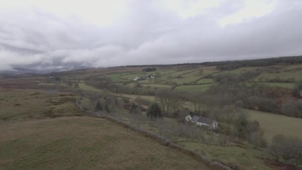 Вид с воздуха на сельскую местность с выпасом овец на полях — стоковое видео