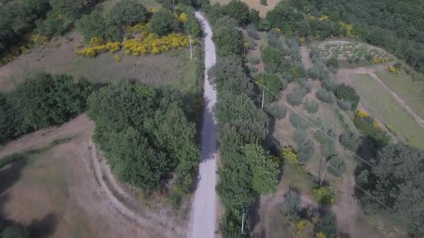 Homem de bicicleta com bicicleta de montanha na estrada rural — Vídeo de Stock