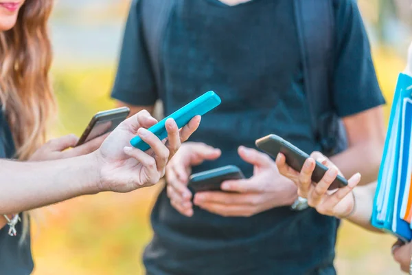 Grupo adolescente de amigos con teléfonos inteligentes en el parque —  Fotos de Stock