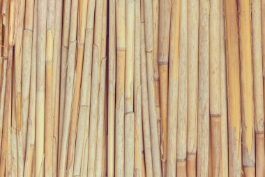 Kurutulmuş bulrush arka plan