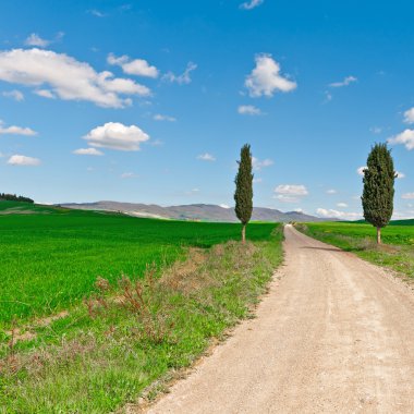 Toprak yol selvi ile 