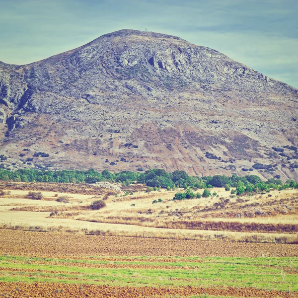 Champs battus dans la montagne Cantabrique — Photo