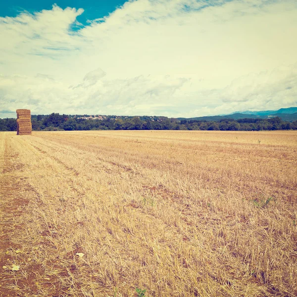 Field in Southern France — Stock Photo, Image