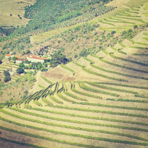 Vale do Rio Douro — Fotografia de Stock