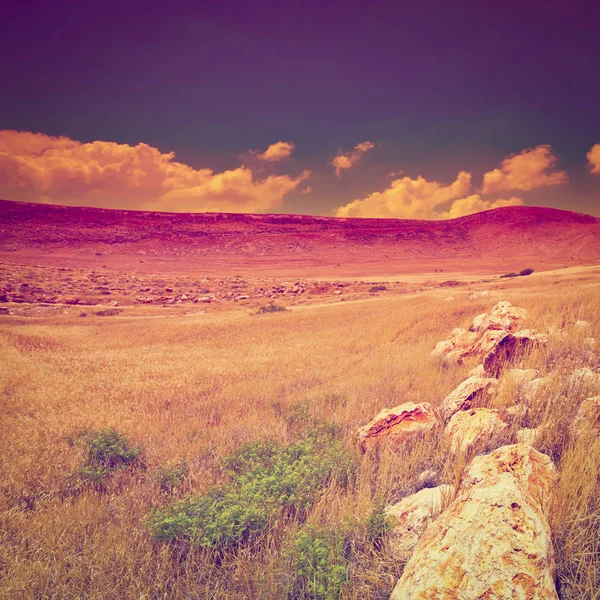 Wzgórz Samarii, w Izraelu — Zdjęcie stockowe