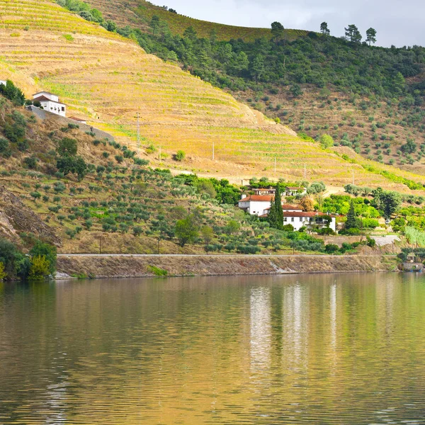 Dalen av floden Douro — Stockfoto