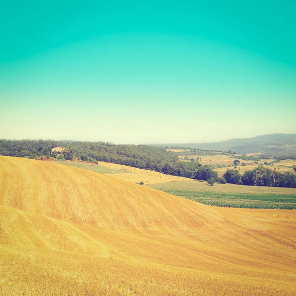 Paesaggio con molte balle di fieno — Foto Stock