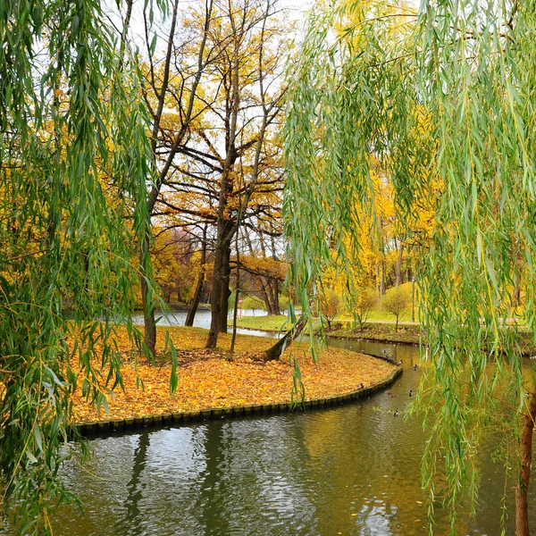 Pond with Wild Ducks — Stock Photo, Image