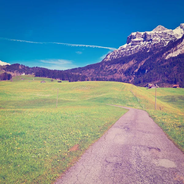 Asphalt Road High Up in the Swiss Alps — Stock Photo, Image