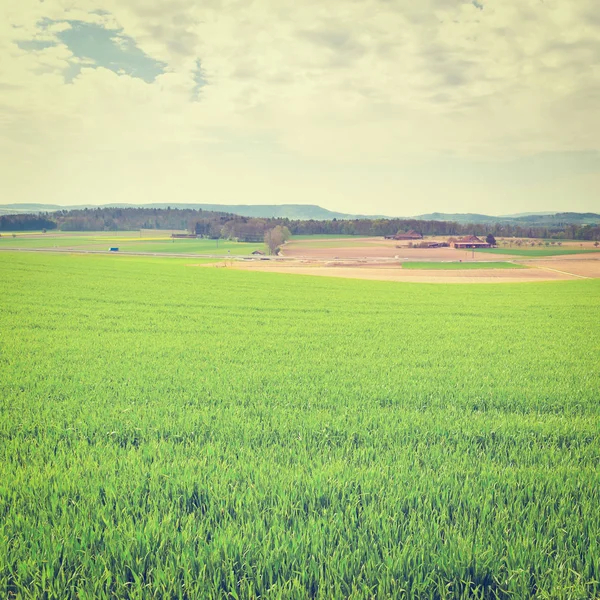 Forests and Plowed Fields — Stock Photo, Image