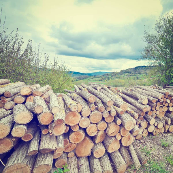 Firewood caiu no alto nos Alpes italianos — Fotografia de Stock