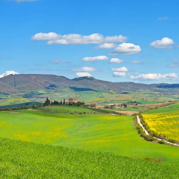 Gröna sluttande ängar i Toscana — Stockfoto