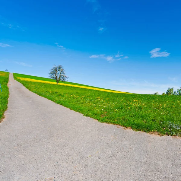 Strada asfaltata nelle Alpi svizzere — Foto Stock