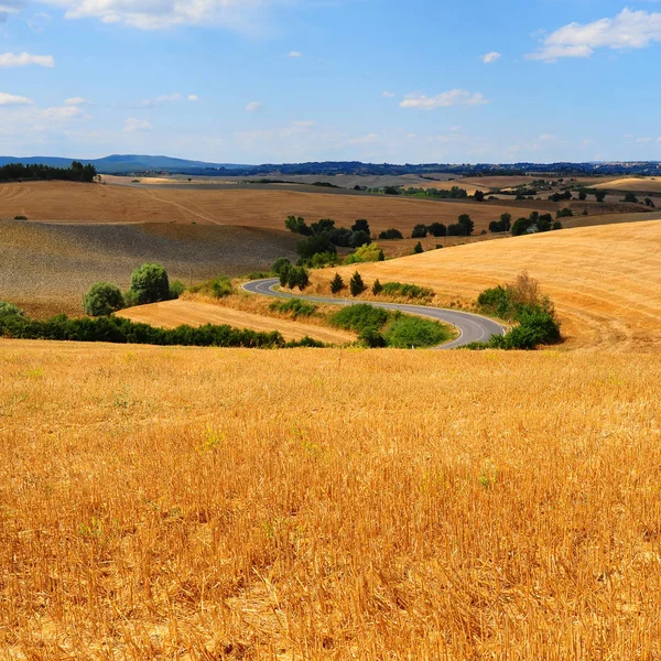 Vägen i Toscana — Stockfoto