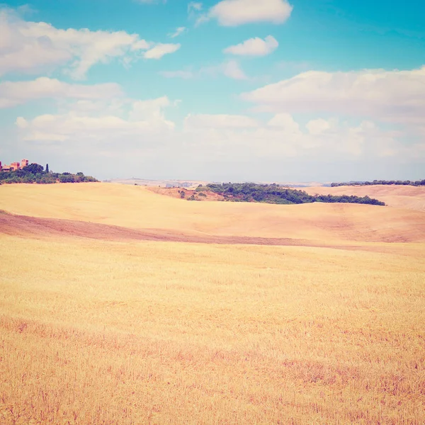 Sluttande ängar i Toscana — Stockfoto