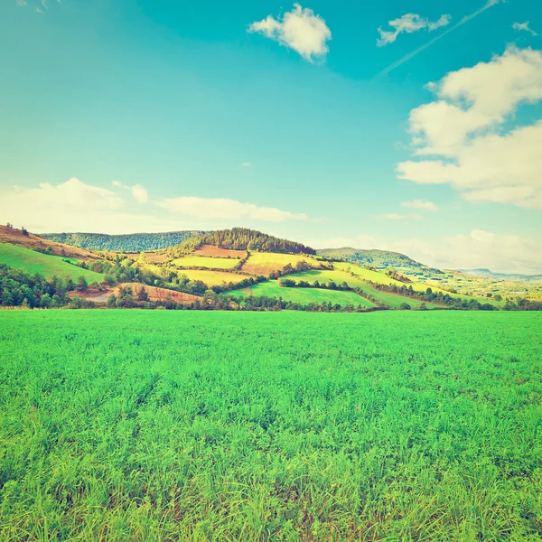 Meadow in the French Alps — Stock Photo, Image